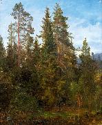 Anders Askevold, Skogsstudie fra Eide